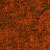 Neithernor rust
